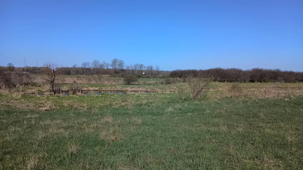 3607 E Hansen Road Custer Township MI 49405