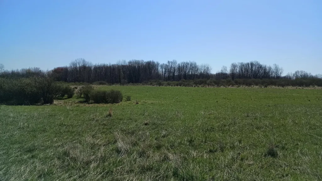 3607 E Hansen Road Custer Township MI 49405