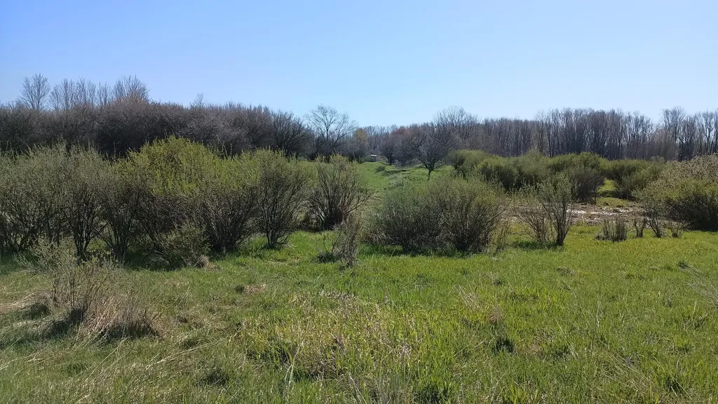 3607 E Hansen Road Custer Township MI 49405