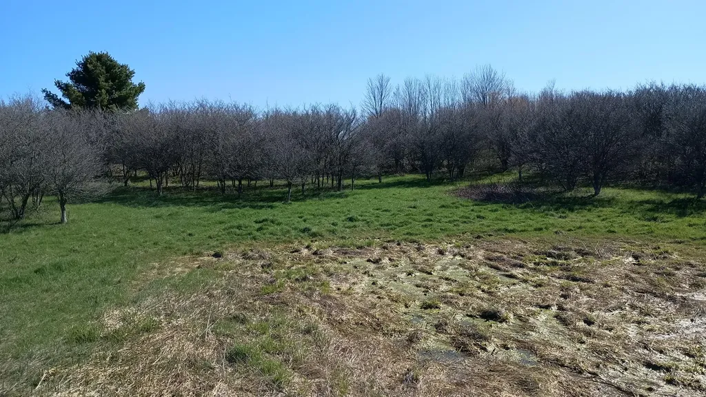 3607 E Hansen Road Custer Township MI 49405