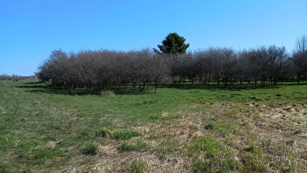 3607 E Hansen Road Custer Township MI 49405