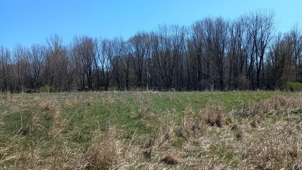 3607 E Hansen Road Custer Township MI 49405