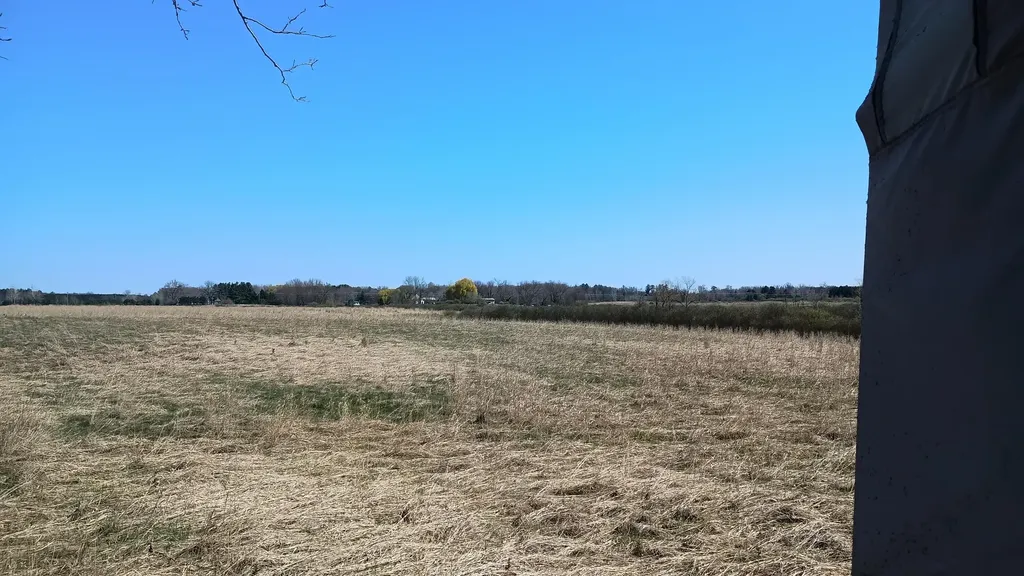 3607 E Hansen Road Custer Township MI 49405