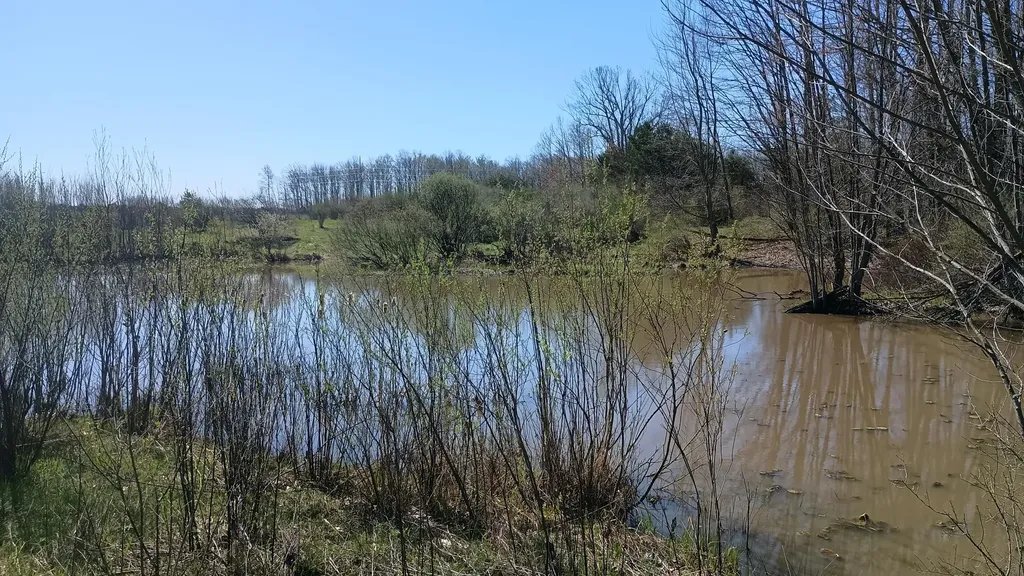 3607 E Hansen Road Custer Township MI 49405