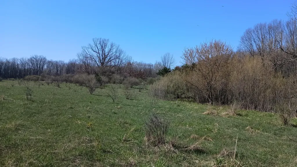 3607 E Hansen Road Custer Township MI 49405