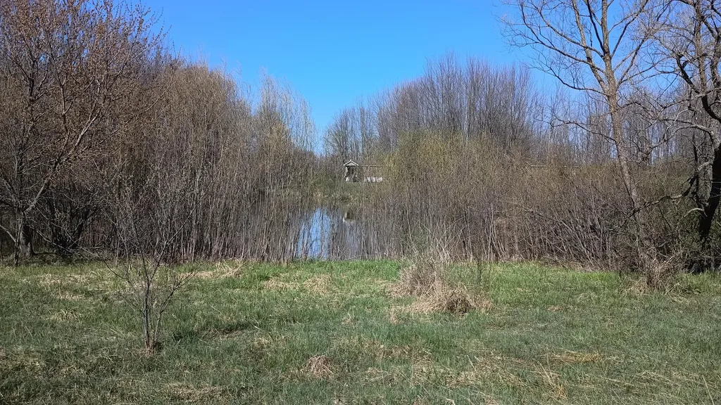 3607 E Hansen Road Custer Township MI 49405