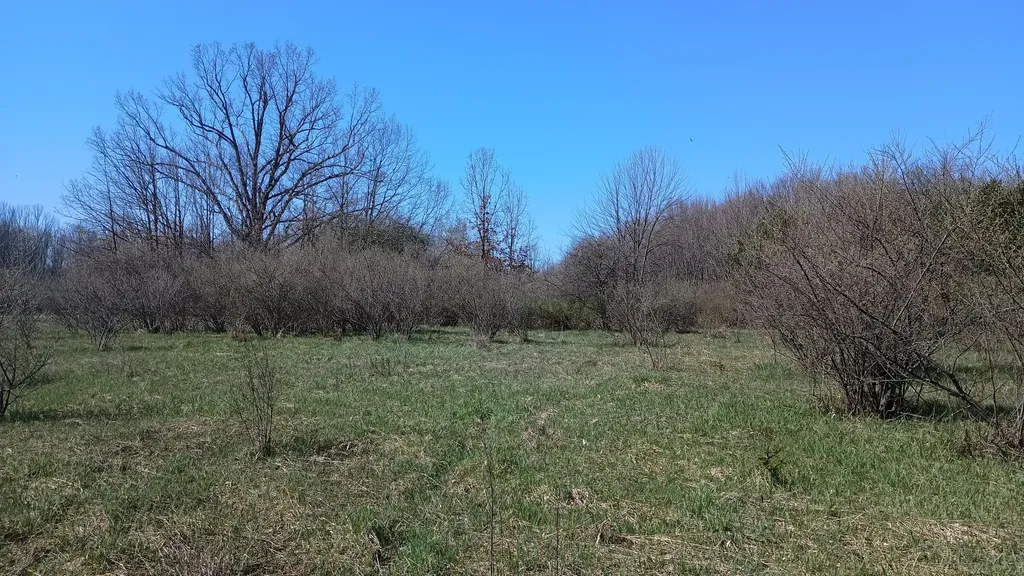 3607 E Hansen Road Custer Township MI 49405
