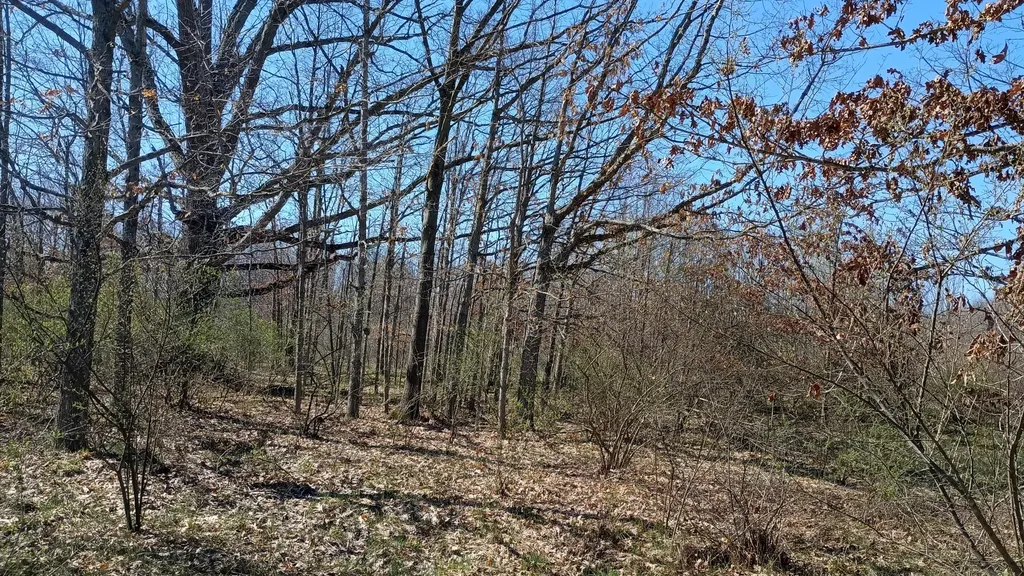 3607 E Hansen Road Custer Township MI 49405