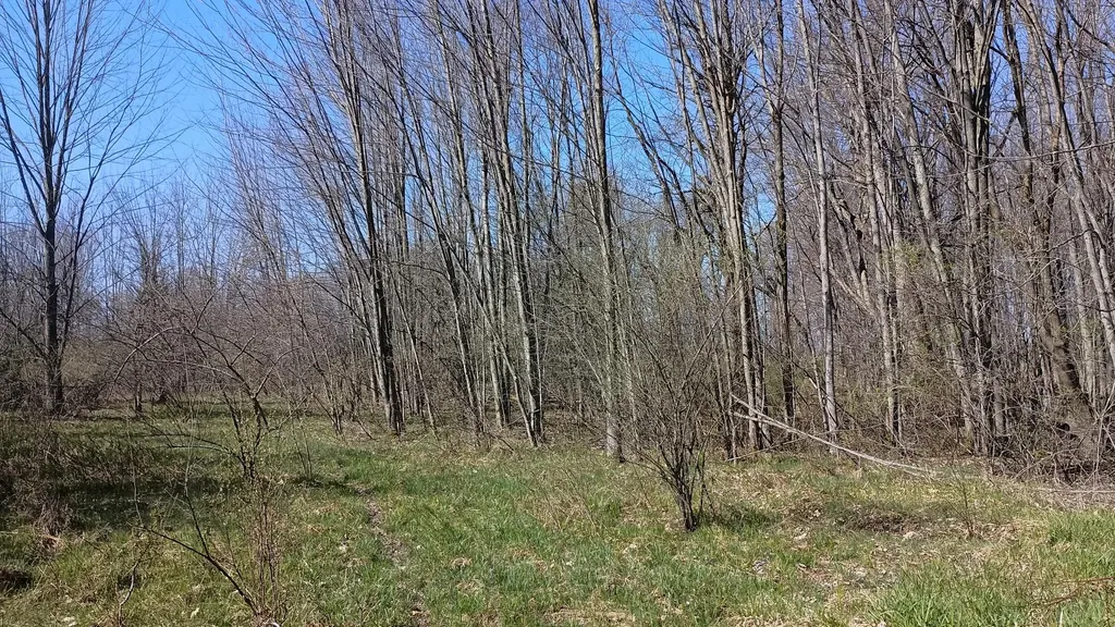 3607 E Hansen Road Custer Township MI 49405