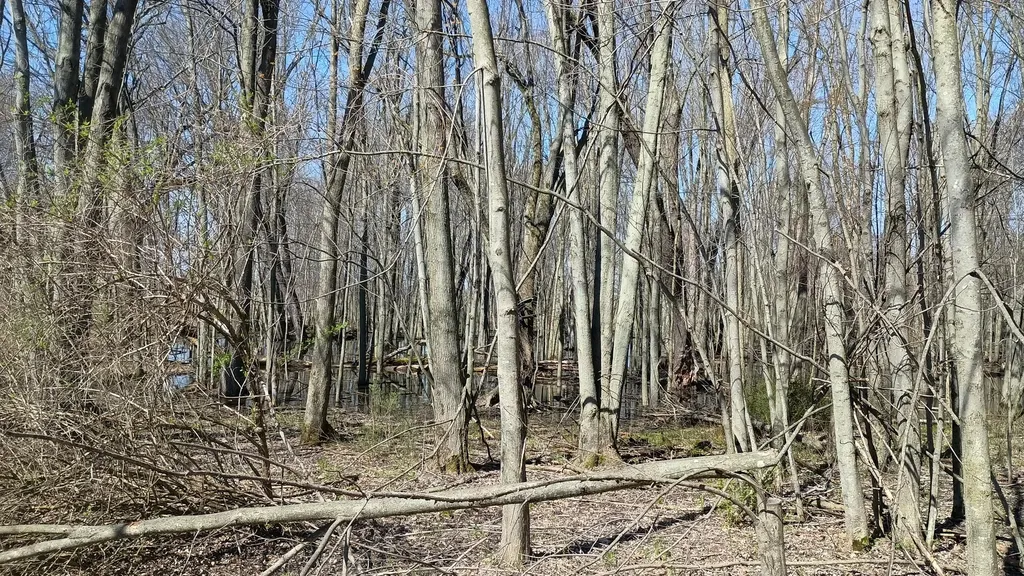 3607 E Hansen Road Custer Township MI 49405