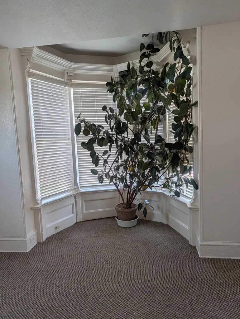 208 S Washington Avenue Ludington City MI 49431
