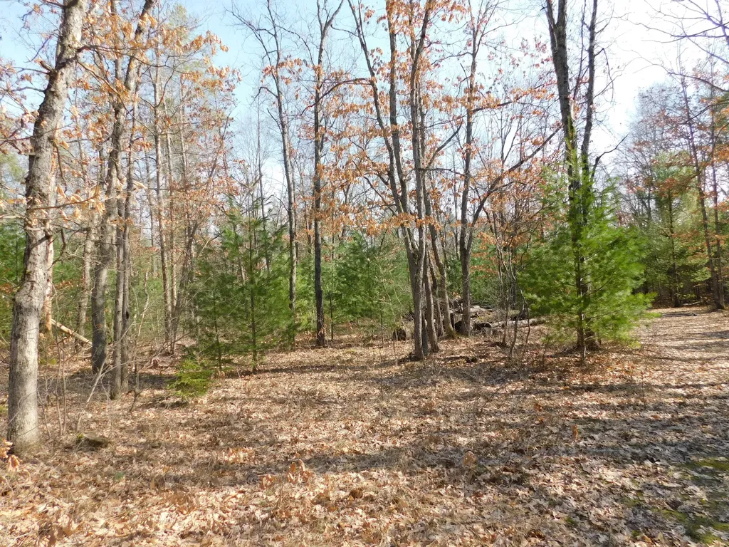 647 N Hart Road Norman Township MI 49689
