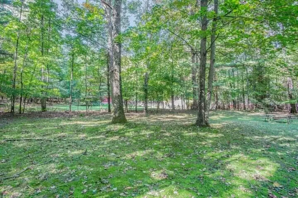 5771 Wintergreen Road Pentwater Township MI 49449