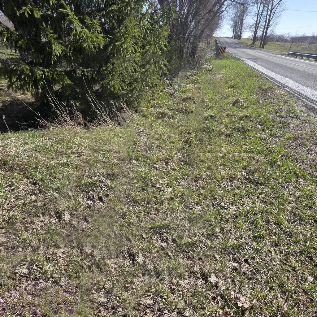 992 E Polk Road Elbridge Township MI 49420