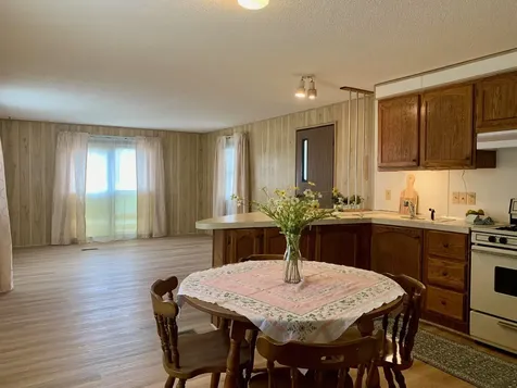 2819 N Sandy Drive Hamlin Township MI 49431
