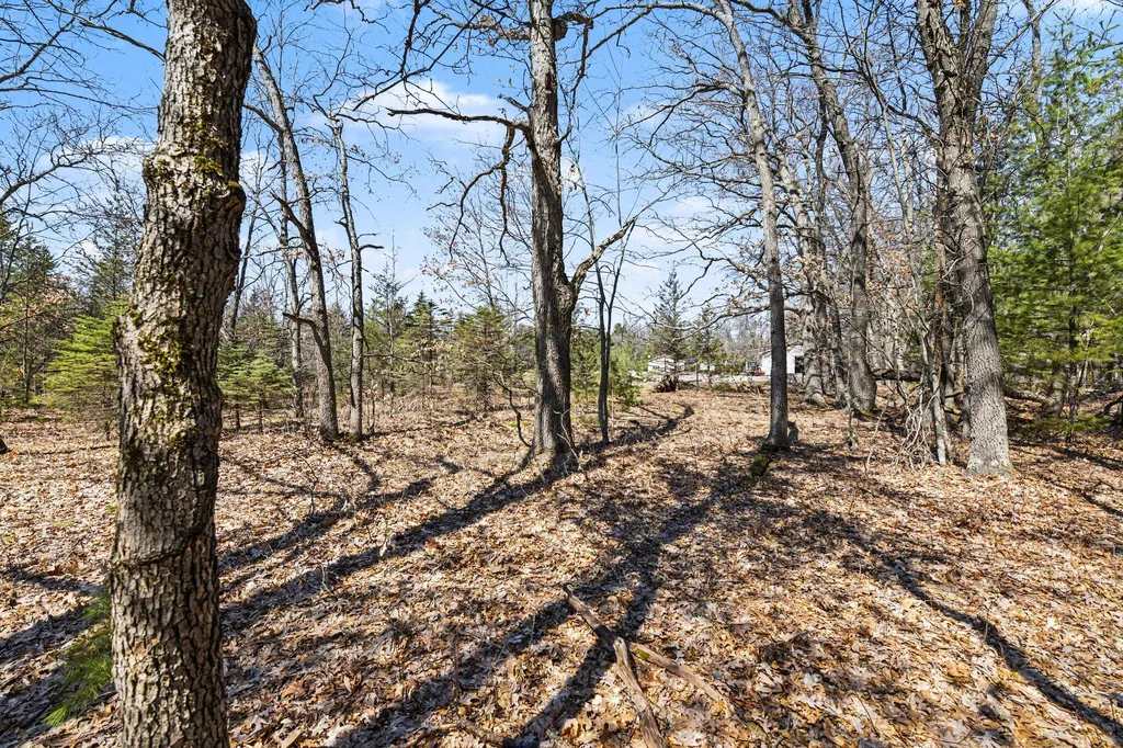14481 N Coates Highway Dickson Township MI 49619