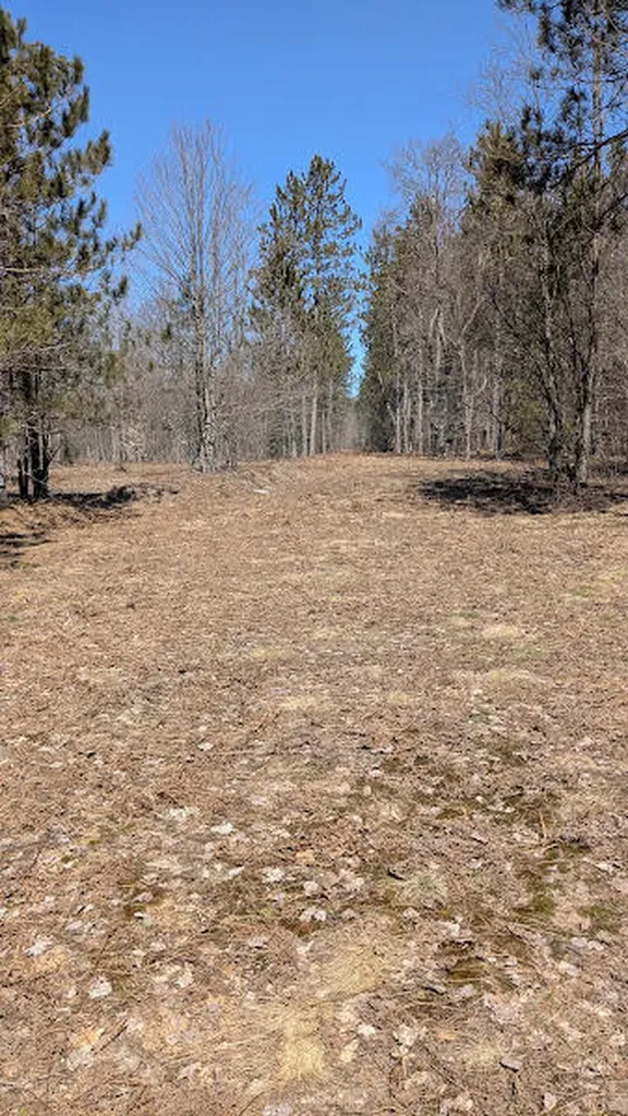 14441 Woods Trail Springdale Township MI 49683