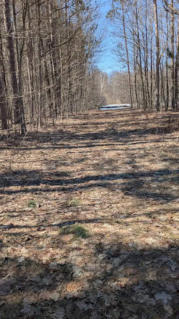 14441 Woods Trail Springdale Township MI 49683
