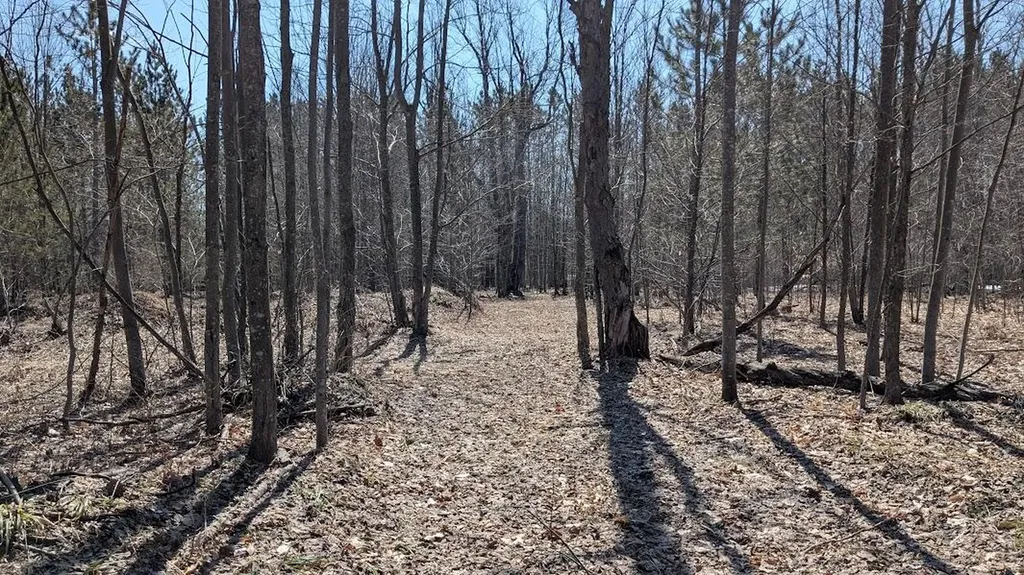 14441 Woods Trail Springdale Township MI 49683