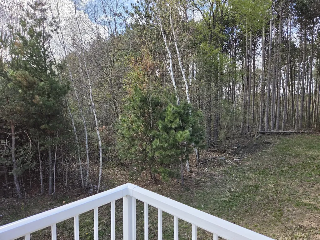 891 N White Birch Drive Amber Township MI 49431