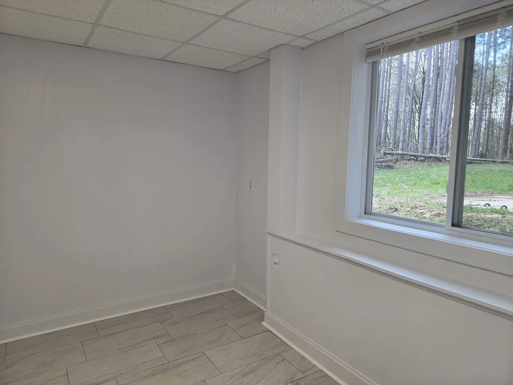 891 N White Birch Drive Amber Township MI 49431