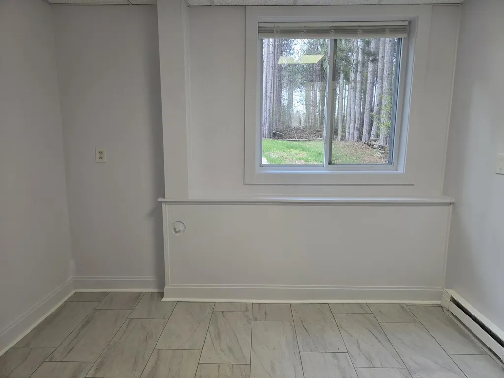 891 N White Birch Drive Amber Township MI 49431