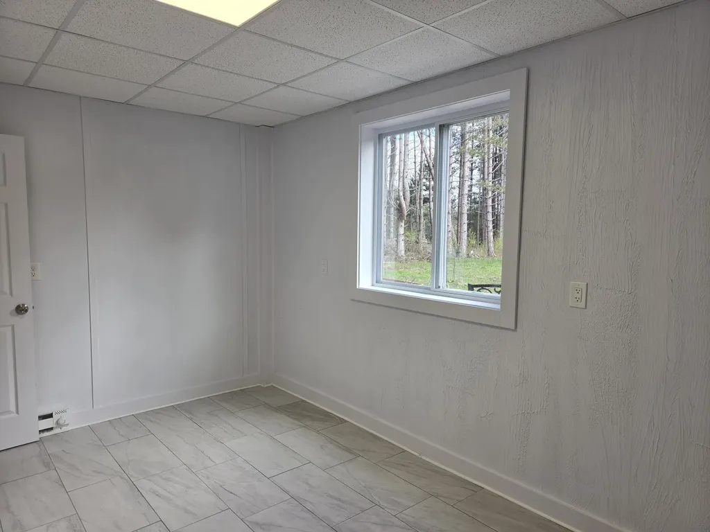 891 N White Birch Drive Amber Township MI 49431