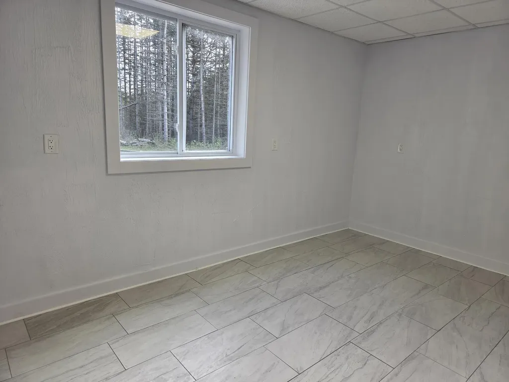 891 N White Birch Drive Amber Township MI 49431