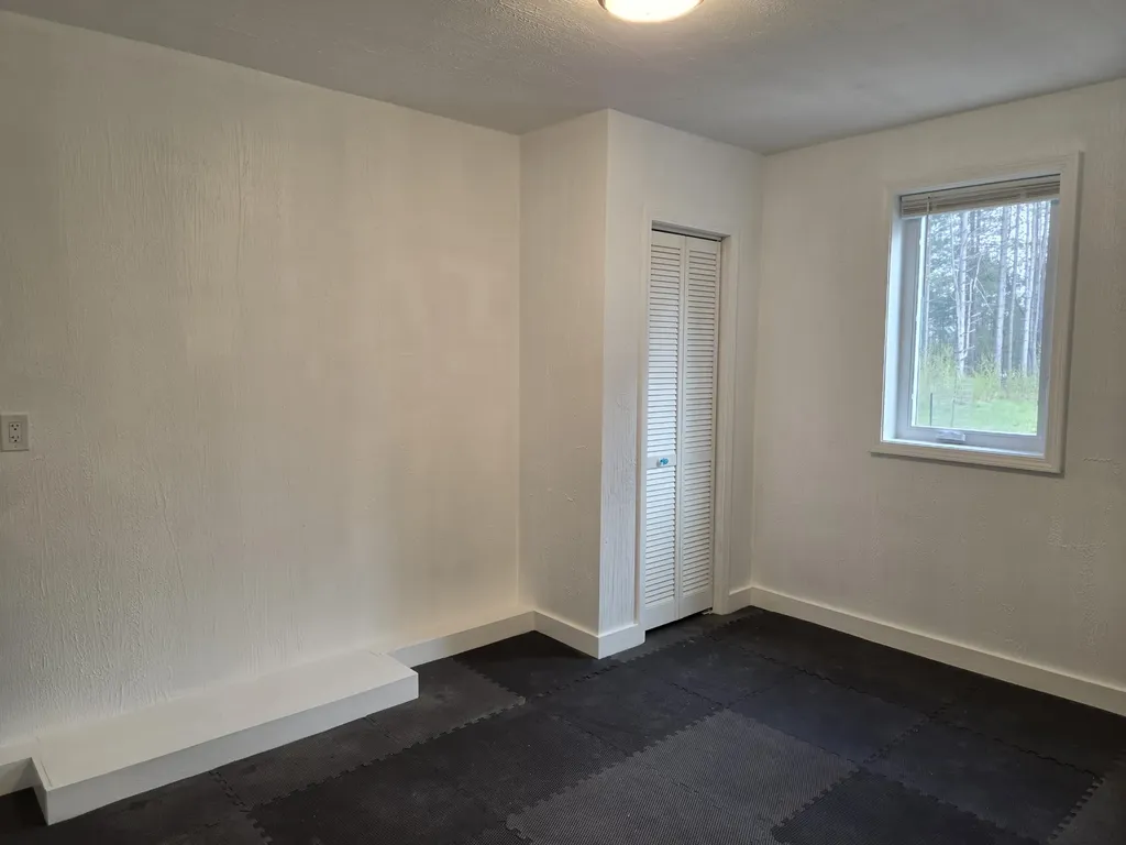 891 N White Birch Drive Amber Township MI 49431