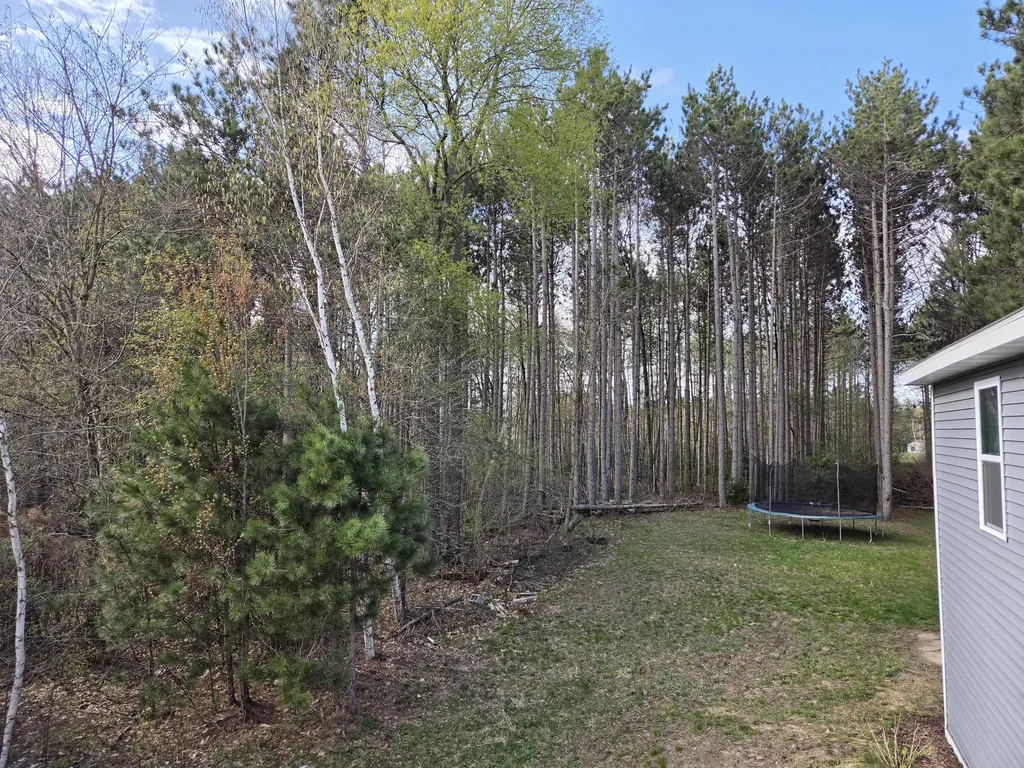 891 N White Birch Drive Amber Township MI 49431