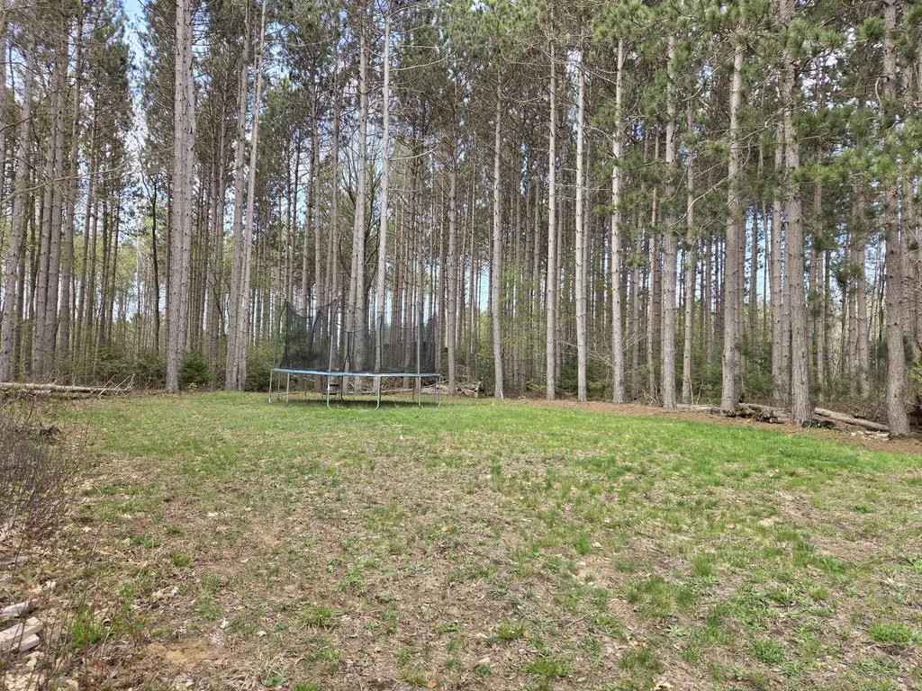 891 N White Birch Drive Amber Township MI 49431
