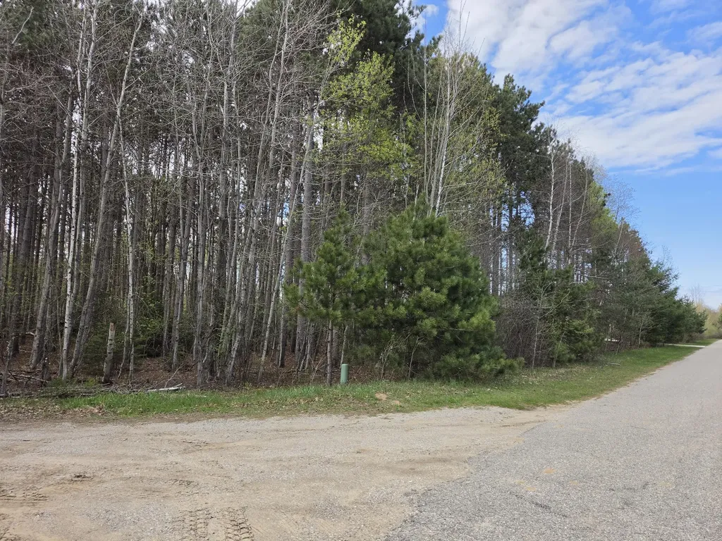 891 N White Birch Drive Amber Township MI 49431