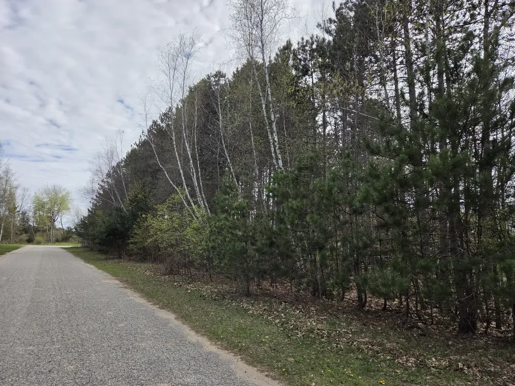 891 N White Birch Drive Amber Township MI 49431