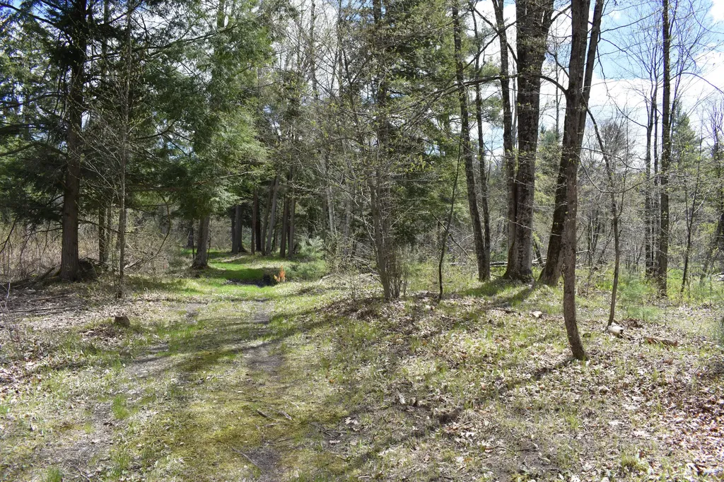 2263 W Riverbend Trail Pleasant Plains Township MI 49304