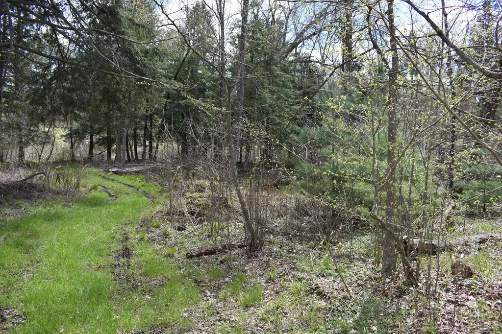 2263 W Riverbend Trail Pleasant Plains Township MI 49304