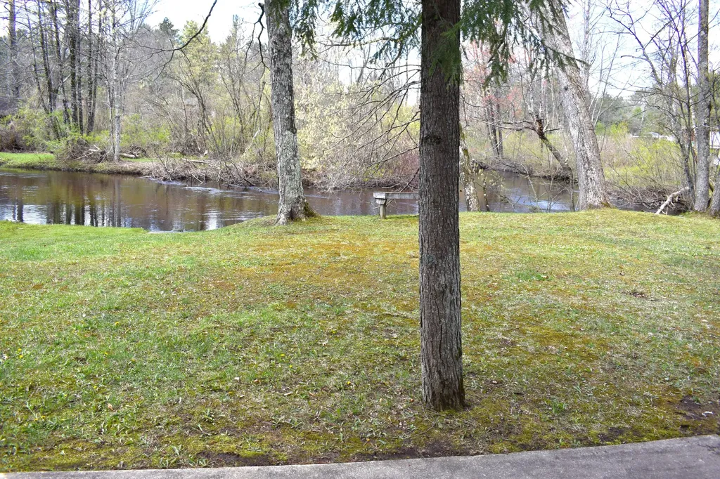 2263 W Riverbend Trail Pleasant Plains Township MI 49304