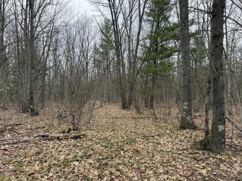 14995 N River Road Dickson Township MI 49619