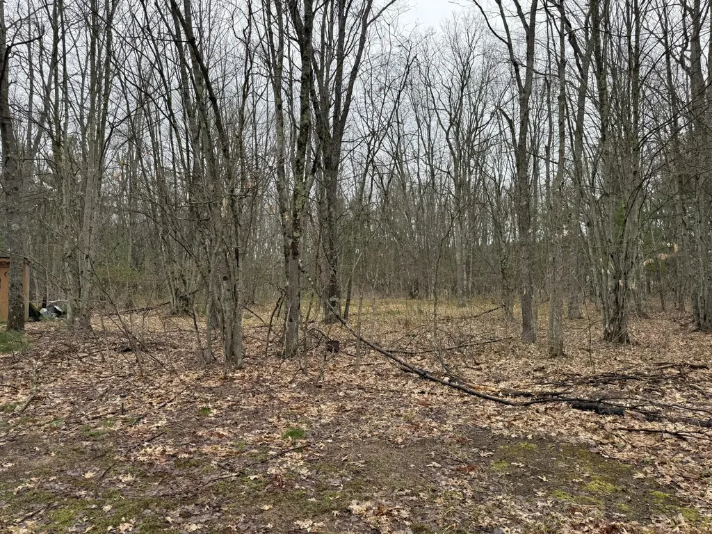 14995 N River Road Dickson Township MI 49619