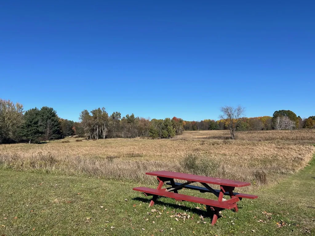 3344 E Hansen Road Custer Township MI 49405