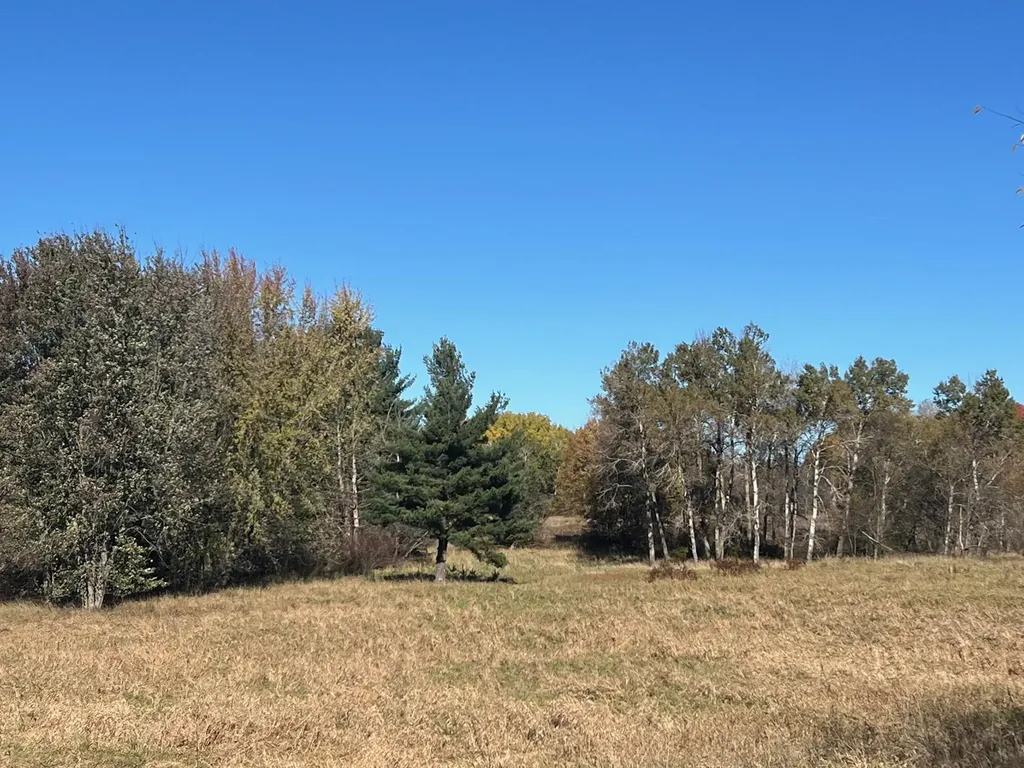 3344 E Hansen Road Custer Township MI 49405