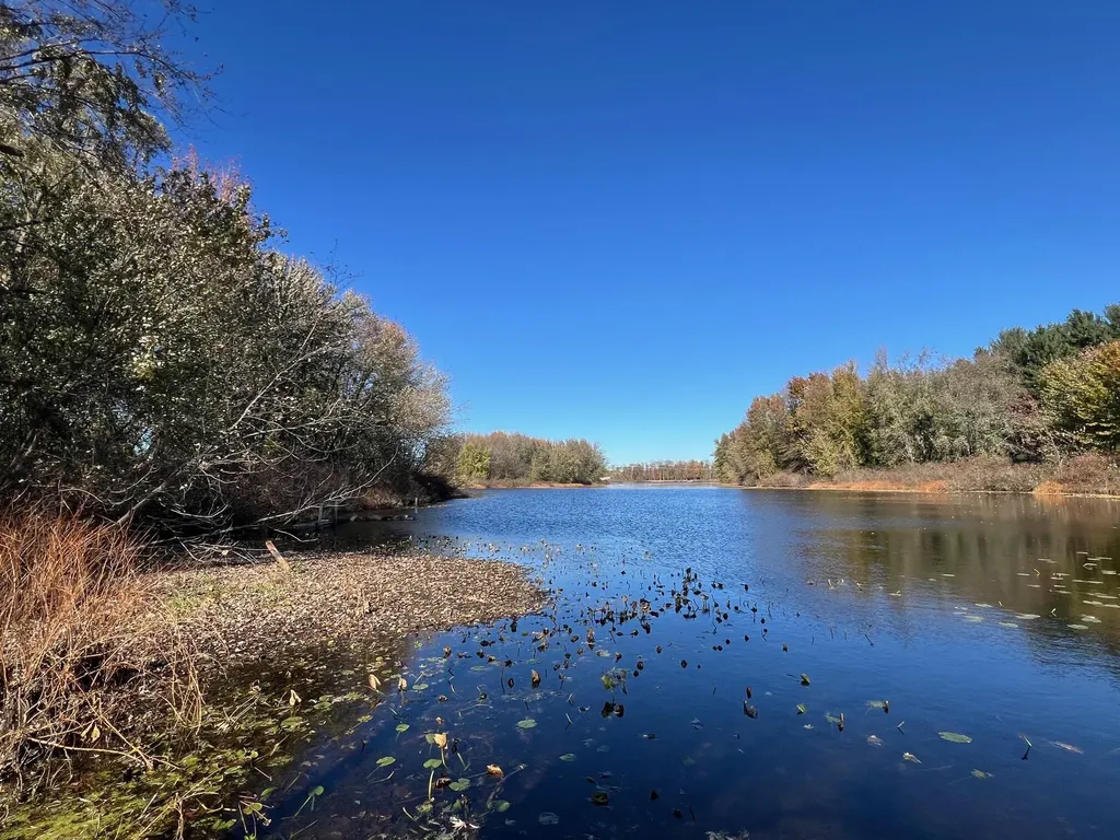 3344 E Hansen Road Custer Township MI 49405