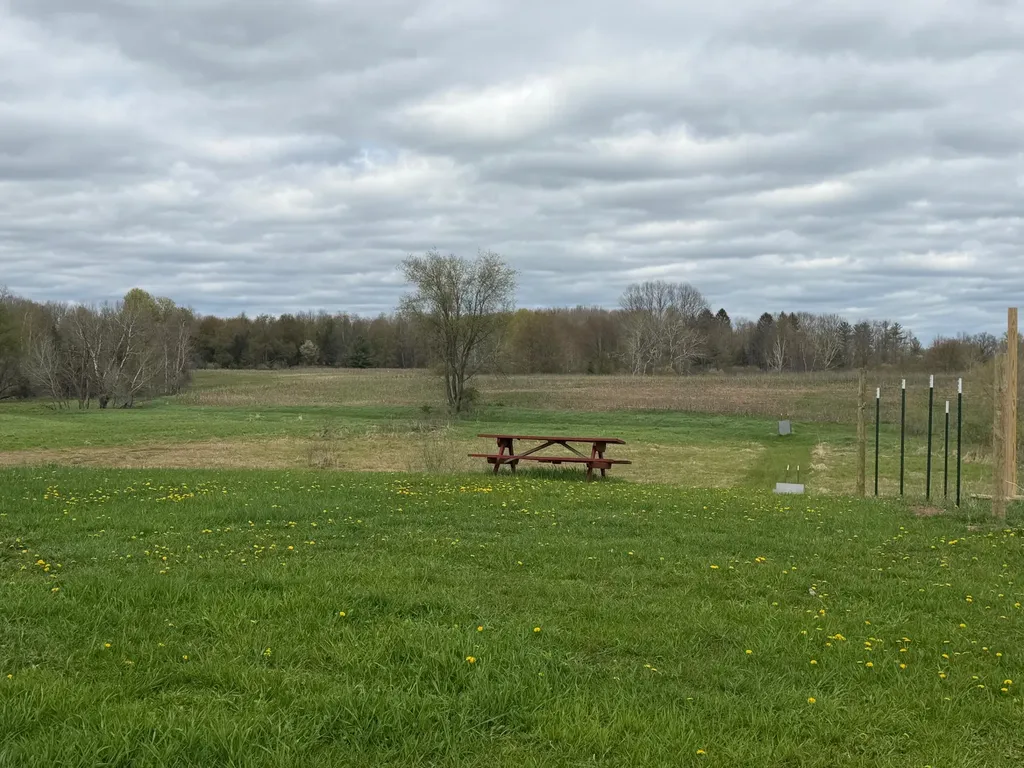 3344 E Hansen Road Custer Township MI 49405