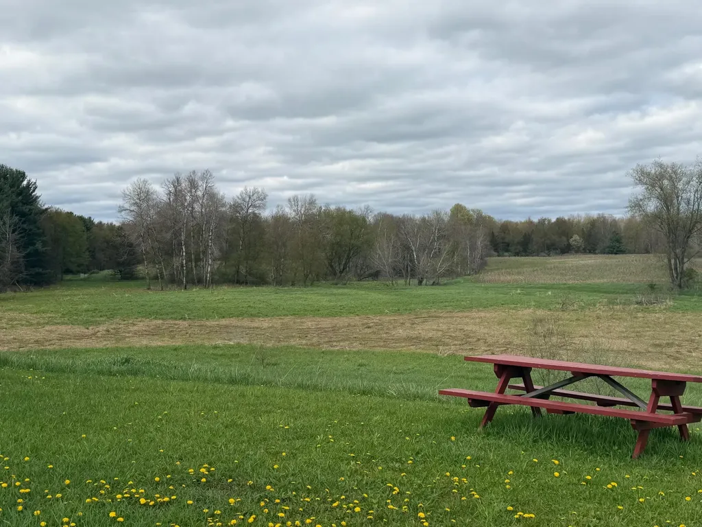 3344 E Hansen Road Custer Township MI 49405