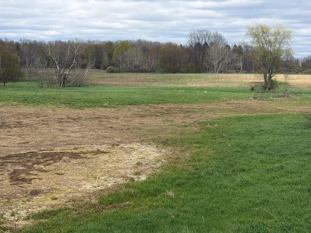 3344 E Hansen Road Custer Township MI 49405