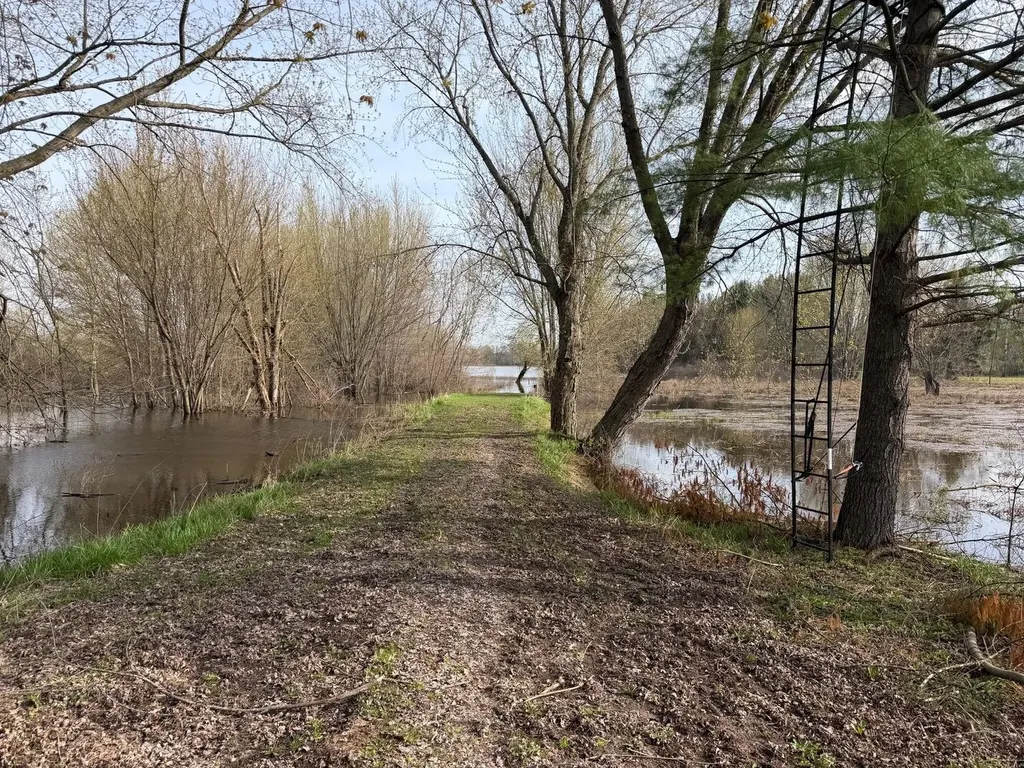 3344 E Hansen Road Custer Township MI 49405
