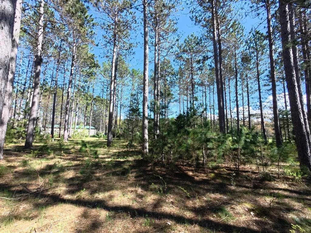 16880 Vondra Road Springdale Township MI 49683