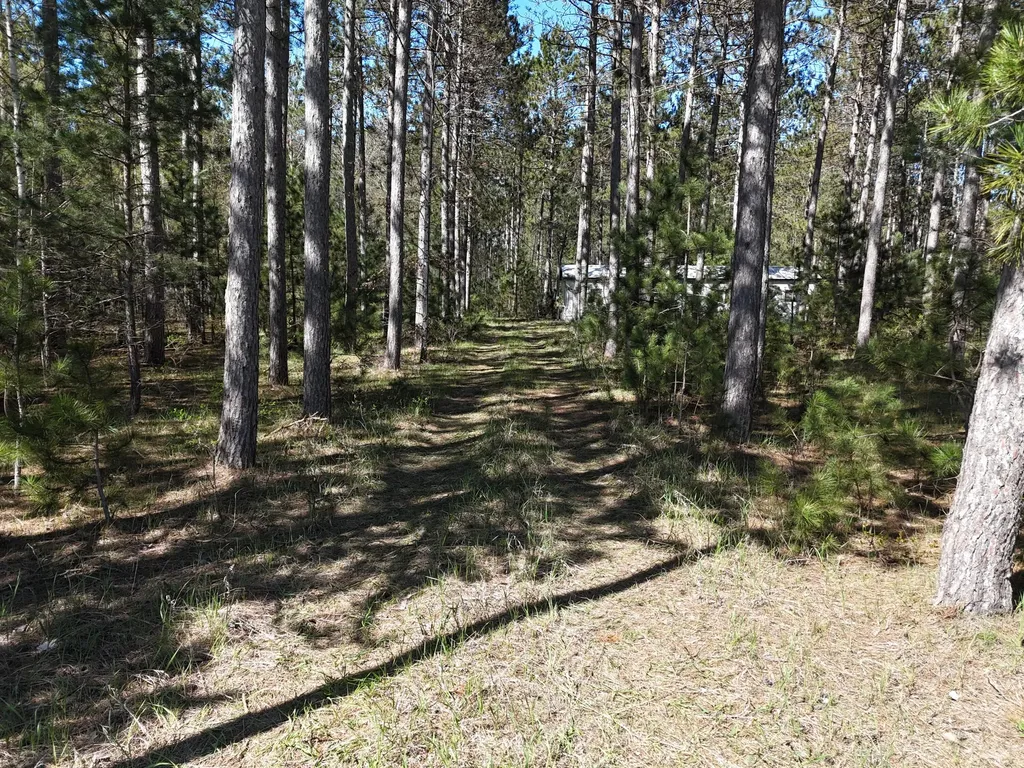 16880 Vondra Road Springdale Township MI 49683