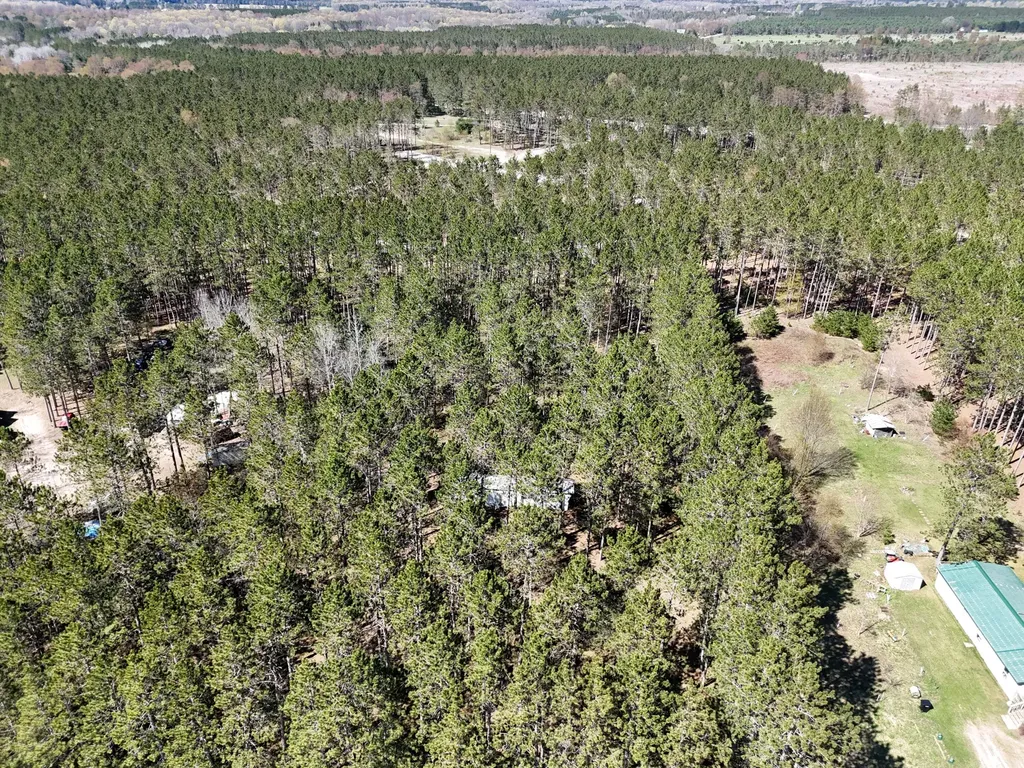 16880 Vondra Road Springdale Township MI 49683