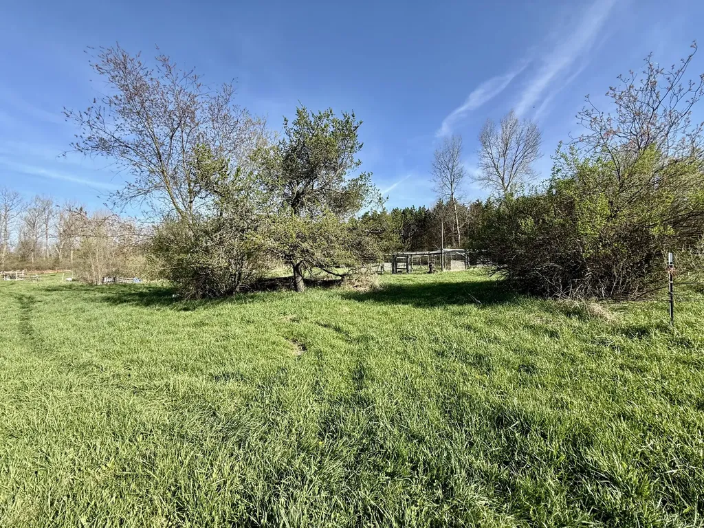 1525 S Poplar Road Custer Township MI 49405