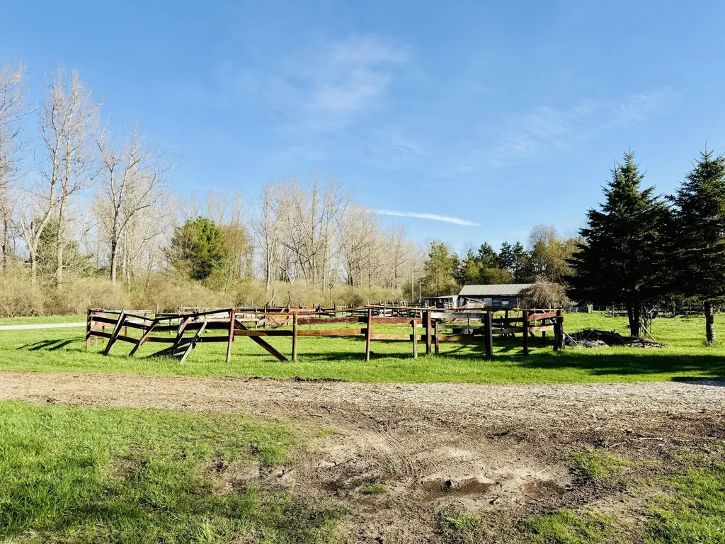 1525 S Poplar Road Custer Township MI 49405